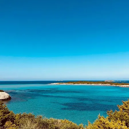 Location 2 U Rosumarinu Piscine Bonifacio Villa